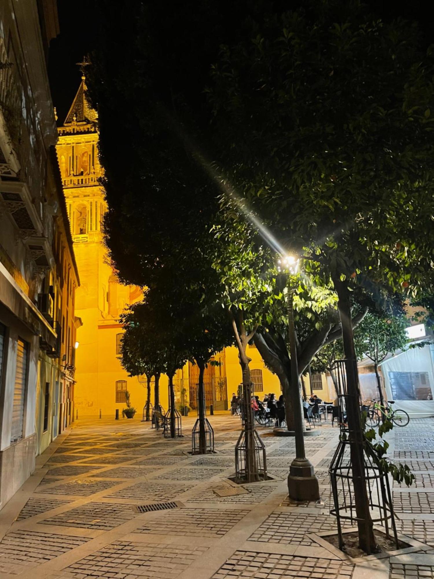 Apartamento Calle Rodrigo De Triana Con Opcion De Parking Севілья Екстер'єр фото